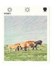 Fiche livre paris d'occasion  Nancy-