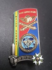 Insigne ensoa 317 d'occasion  Pamiers