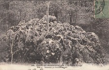 Fontainebleau foret roche d'occasion  Vasles