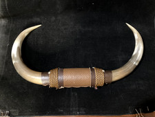 Steer bull horns for sale  Plymouth
