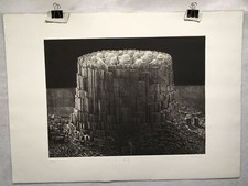 Risho shigeo fossilizzazione usato  Spedire a Italy