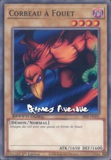Corbeau fouet ss05 d'occasion  Chambly