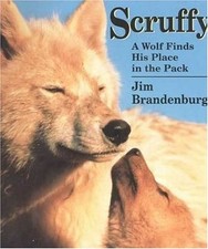 SCRUFFY: A WOLF FINDS HIS PLACE IN THE PACK By Jim Brandenburg & Joann B. VG, usado comprar usado  Enviando para Brazil