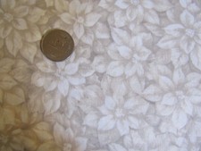 cream poinsettias 2 for sale  Junction City