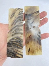 Set sheep horn for sale  Seneca