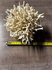 Corail ancien provenant d'occasion  Dijon