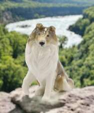 Ceramic border collie for sale  Dallas