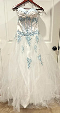 Cinderella style prom for sale  Lewisburg