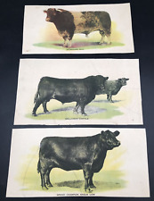 Diff 1920s litho for sale  Costa Mesa