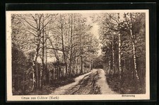 Cablow mark birkenweg gebraucht kaufen  Berlin