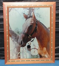 horses grazing framed photo for sale  Frazier Park