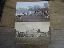 Badminton house foxhounds for sale  CHATTERIS