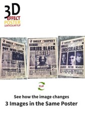 Harry potter daily for sale  Flushing