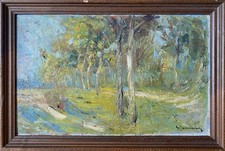 Tommasi giuliano paesaggio usato  Italia