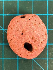Rare natural red for sale  Portland