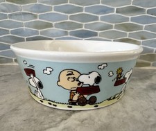 Snoopy peanuts woodstock for sale  Lafayette