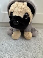 Cute pug dog for sale  BLACKPOOL