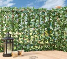 Stoneberry fence ivy for sale  Nicholasville