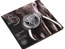 Five elefant 2019 gebraucht kaufen  Rülzheim