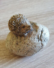 Süßer kleiner igel gebraucht kaufen  Deutschland