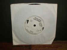 Steve forbert oil for sale  Mount Prospect