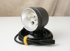 Dynalite flash head for sale  San Francisco