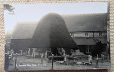 Twyford ancient yew for sale  LIVERPOOL