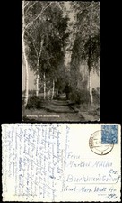 Ansichtskarte birkenweg dem gebraucht kaufen  Ortrand