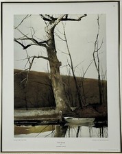 Andrew wyeth cold for sale  West Chester