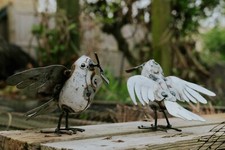 Metal dove garden for sale  CHELTENHAM