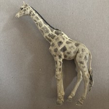 Britain wild animal for sale  MARGATE