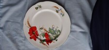 Duchess poppies dinner for sale  LEICESTER