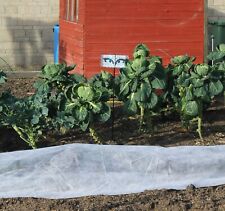 Garden fleece horticultural for sale  CIRENCESTER