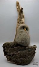 owl driftwood for sale  Franklin