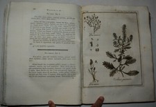 Matematica fig. 1802 usato  Arezzo