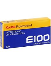 Kodak ektachrome e100 usato  Mezzocorona
