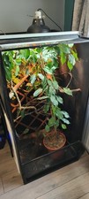 Zoomed reptibreeze reptile for sale  WEDNESBURY