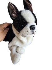 Puppy heart black for sale  Saint Charles