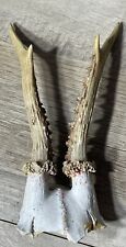 Antique european roe for sale  Douglasville