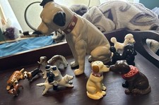 Rca dog dogs for sale  Fernley