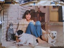 David cassidy golden d'occasion  La Bégude-de-Mazenc
