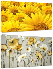 Quadri moderni fiori usato  Monopoli
