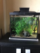 Superfish fish tank for sale  BOLTON