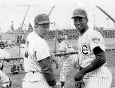 Ron santo ernie for sale  Diamond Bar