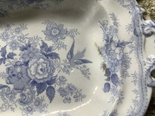 Asiatic pheasant victorian for sale  UK