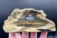 Premium blue mountain for sale  Roseburg