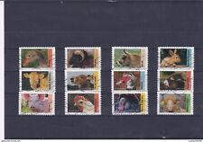 2017 animaux ferme d'occasion  Mortagne-du-Nord