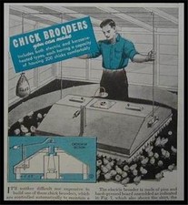 Chick brooder 1944 for sale  Diamond Point