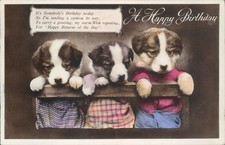 Happy birthday dogs for sale  ROSSENDALE