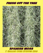 Gal. fresh florida for sale  Vero Beach